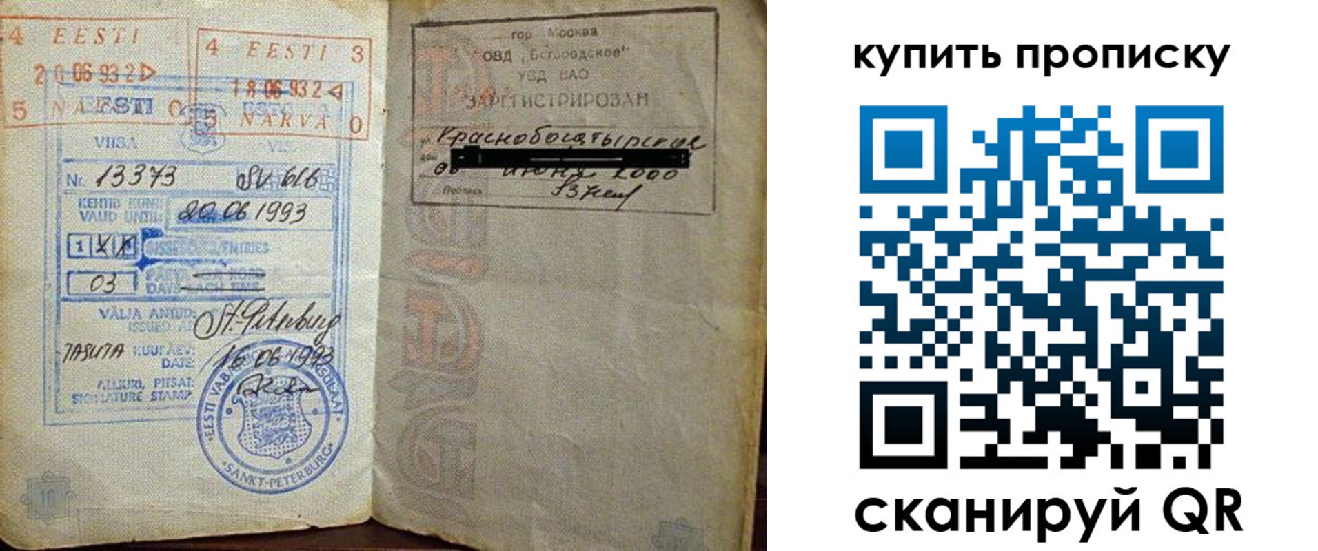 прописка для школы в Ясном